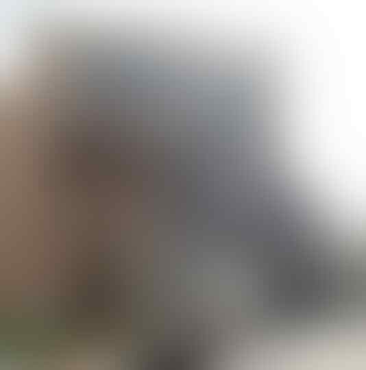 Ternyata Bus Damri Punya Trayek di Luar Negeri, Ini Rutenya