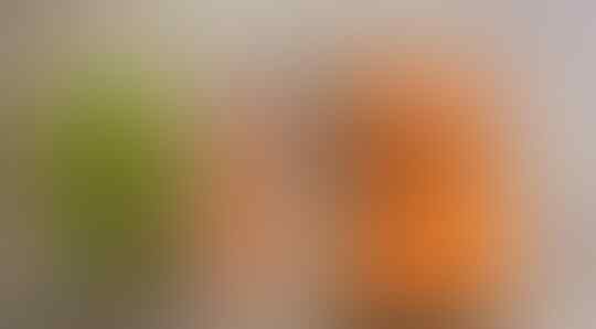 SENI BODO AMAT : Membuat Hidup Lebih Damai dan Indah Permai