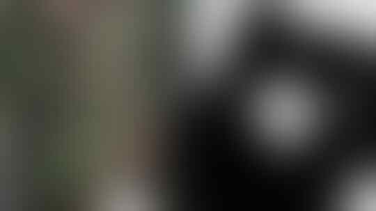 Skandal 2 Oknum Tentara Rebutan Istri Perwira, Pratu Adu Jotos Serma