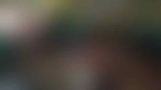 Gemscool Bubar, 4 Kenangan Indah yang Pernah Gansis Rasakan