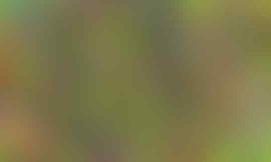 Clash Of Clans, Games yang Mengajarkan Ane Banyak Hal Tentang Kehidupan Sosial!