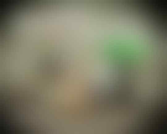 PILIH CEWEK BAIK CANTIK APA CEWEK BAIK SEKSI ??? : Sepenggal Kisah SMA