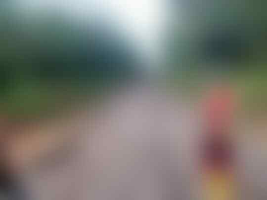 11 Ekor Kerbau Ditabrak kereta Api, Ini Yang Dilakukan Pemiliknya