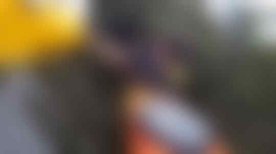 Kera Sakti Yang Semakin Menjadi: Tragis, Balita Sedang Disusui Diculik Monyet