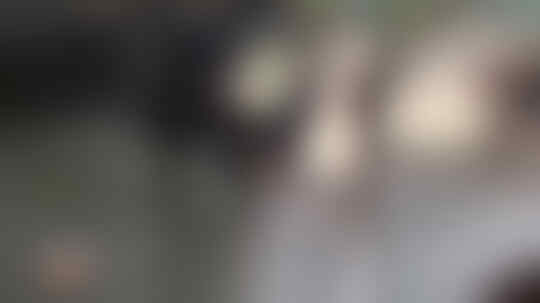 Kera Sakti Yang Semakin Menjadi: Tragis, Balita Sedang Disusui Diculik Monyet