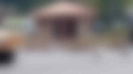Kera Sakti Yang Semakin Menjadi: Tragis, Balita Sedang Disusui Diculik Monyet