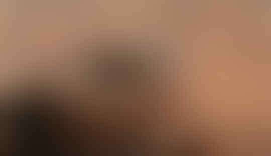 Fakta Kebiasaan Aneh Hewan: Berang-Berang Laut Tidur Sambil Bergenggaman Tangan