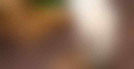 10 Menu Buka Puasa Bebas Kolesterol dan Asam Lambung