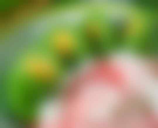 Aneka Es Tradisional yang Menambah Kesegaran Berbuka Puasa