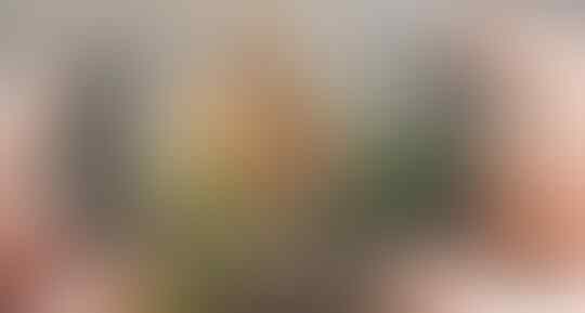 Sendal Anak Kecil Ini Mendarat Di Makanan Orang Ini, Begini Responnya