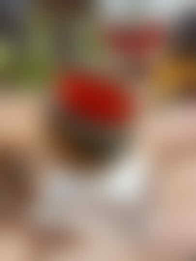 LELANG ITEM SUPER GILA ITEM SUPER CLOSE 21/