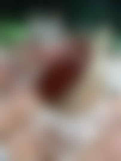 LELANG ITEM SUPER GILA ITEM SUPER CLOSE 21/