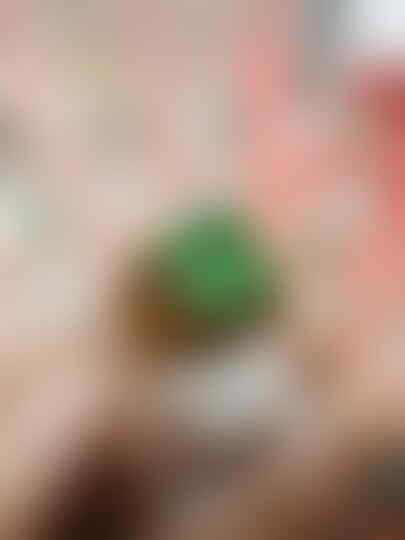 LELANG ITEM SUPER GILA ITEM SUPER CLOSE 21/