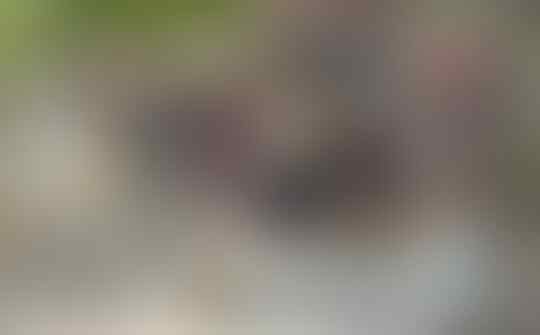 Sambut Ramadhan Dengan Mengunjungi Makam Leluhur, Tradisi Nyadran Ini Wajib Dilakukan