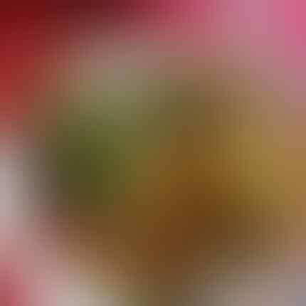 Penjualnya Seksi, Pelanggan Ketagihan. Kisah Sukses Usaha Bakso Semox