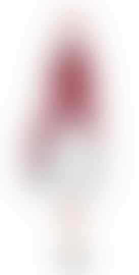 Inilah Orang Dibalik Suara Haruno Sakura