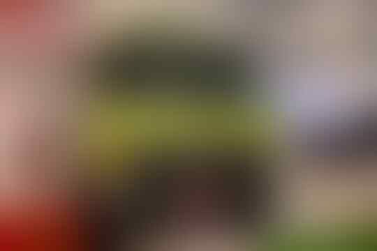 Kenapa Sebuah Truk Baru Pilihan Warnanya Sangat Sedikit Dan Tak Jarang Yang Hanya 1?