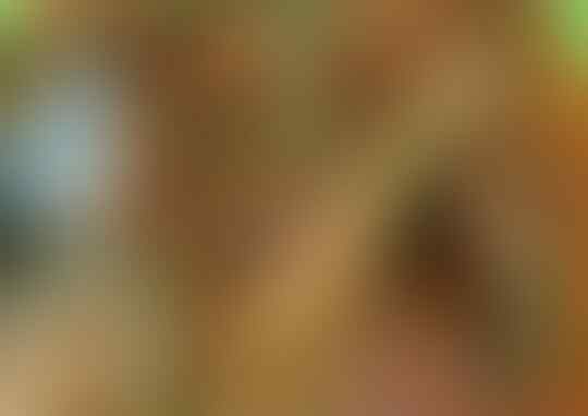 Deretan Kuliner yang Selalu Melekat di Hati Walaupun Sudah Lama di Rantau