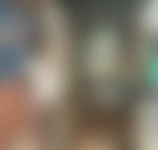 Netizen Indonesia Teror Keluarga Felicia: Jangan Ngebegoin Orang Indo, Mampus Lu.