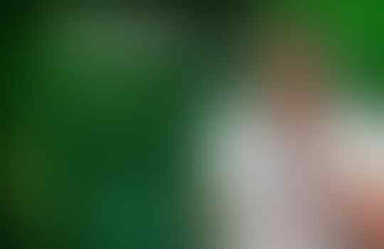 Harry Kane, Korban Bursa Transfer atau Ketakutan Gareth Southgate?