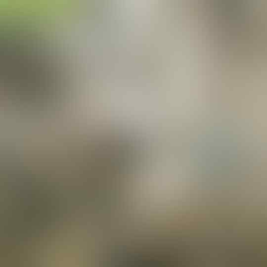 8 Destinasi Wisata Yang Wajib Dikunjungi Bersama Keluarga
