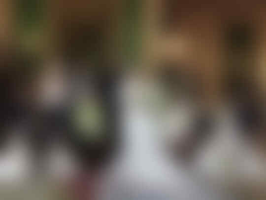 Pernikahan Kok Gini? Pernikahan Aneh Dan Lucu Di Seluruh Dunia