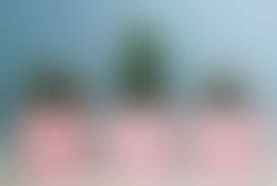 7 Tanaman yang ditakuti Jin dan Setan, bisa untuk melindungi hal ghaib