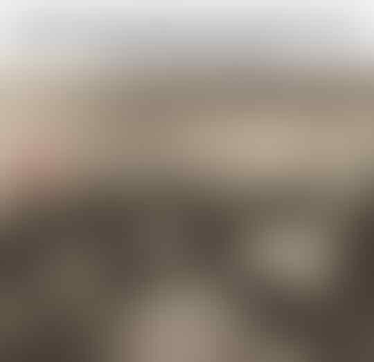 Tahun 2019 Belum Lama Berlalu, Namun Foto-foto Berikut Seperti Sejarah Lama