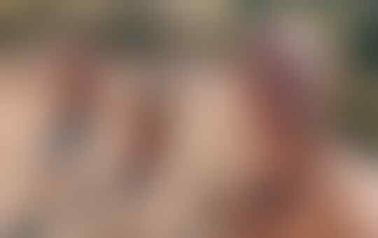 Pebalap Indonesia Sean Gelael Bersiap Jalani Balapan 24 Jam