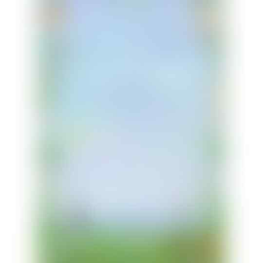 Ini Dia List Drakor yang Rilis Bulan Ini! Kamu Nungguin yang Mana Nih Yeorobun?