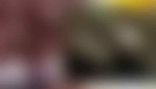 Nekat Dan Gila ! Aksi Perampokan Bank Ini Gunakan 'SANDERA' Sebagai Perisai !