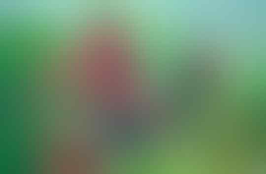 Kok Bisa, Motor-Motor Ini Identik Dengan yang Gitu-Gitu?