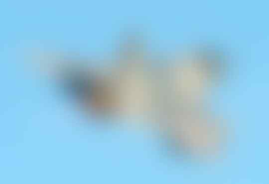 India Membeli 24 Jet Tempur Mirage 2000 Bekas Prancis