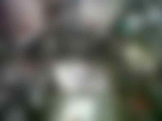 Jasa Motor Custom