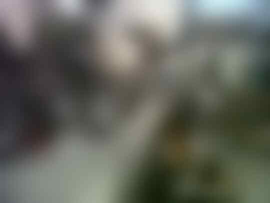 Jasa Motor Custom
