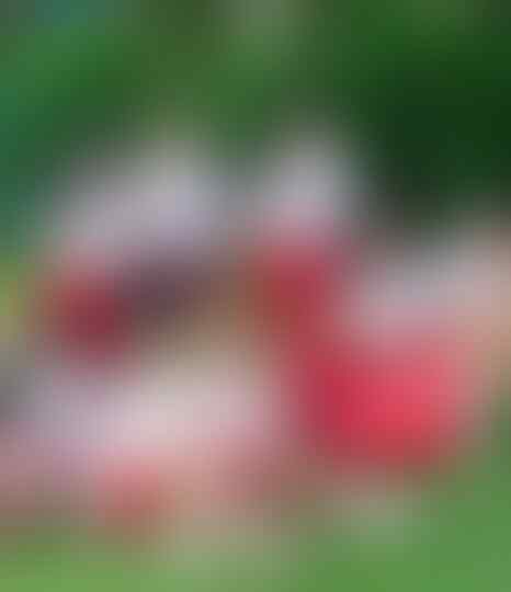 Fenomena 'GENCET' Dan Kekerasan Atas Nama Senioritas Di Sekolah !