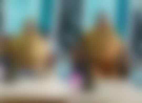 'KATANYA' Pembeli adalah RAJA, Masihkah Relevan Di Era Transaksi Online ?
