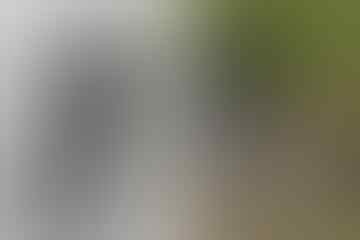 Monster kok Dipelihara! Inilah Hewan Peliharaan Paling Ekstrem dan Aneh di Dunia