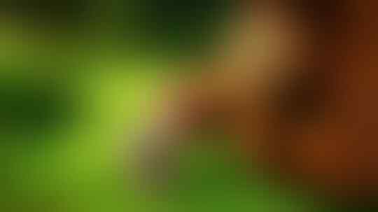 Viral! Kartun Lucu Yang Menyimpan Misteri
