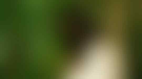 5 Orang Paling Lama Berpuasa di Dunia! Ada yang Hampir Setahun Gan