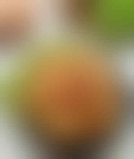 Resep Cemilan Khas Indonesia Gampang Dimasak di Rumah