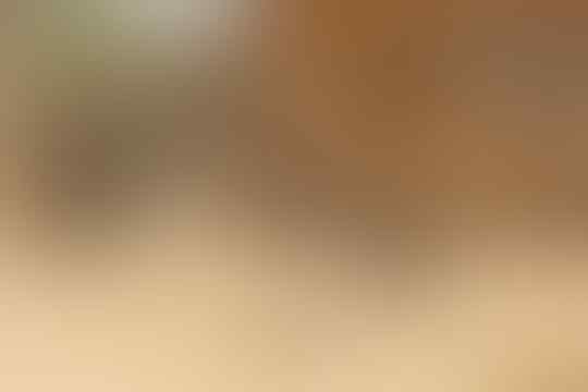 Kok Tega, Orang Tua Memeras Tenaga Anaknya yang Masih Kecil