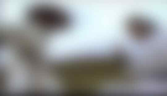 Bentrok Maut PSHT dan Pagar Nusa, Satu Pendekar Silat Tewas Mengenaskan