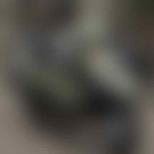 Sejarah Skuter Matic di Indonesia, Dulu Tidak Dipandang sekarang Tunggangan Harian