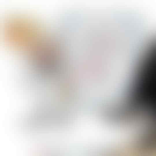 Di Luar Negeri Sibuk Bikin Inovasi Brilian, di Negara Api Ini Malah Ribut Beginian!