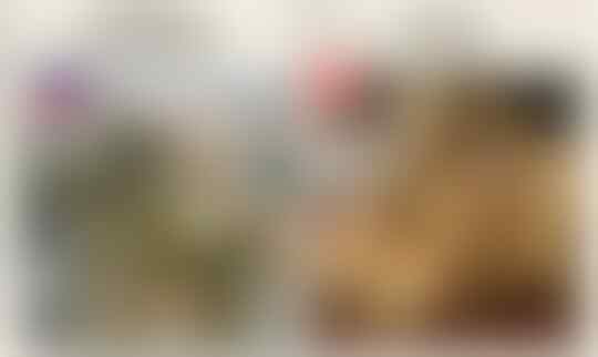 Ini Dia 9 Kuliner Indonesia yang Mirip dengan Filipina
