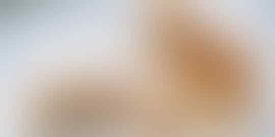 Cukup Menjanjikan untuk Dijadikan Peluang Usaha, Ini Dia Cara Memelihara Kelinci