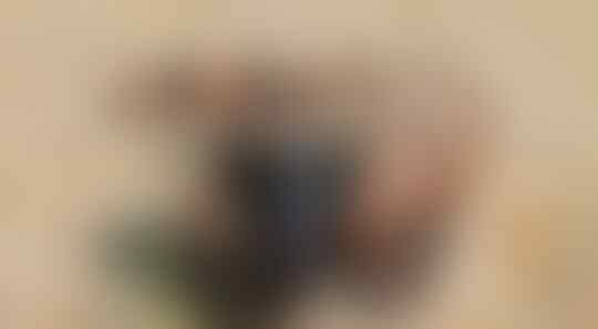10 Hewan Paling Berbisa Di Dunia yang Dapat Membunuhmu Seketika, Jangan Terinjak!