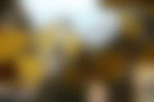 Hobby Mengamati Bangunan? Ini Dia 8 Bangunan Dengan Bentuk Aneh dan Tak Lazim