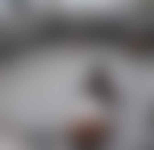Keren dan Berani Namun Aksi Bapak-bapak Ini Jadi Penyebab Angka Kematian Pria Tinggi